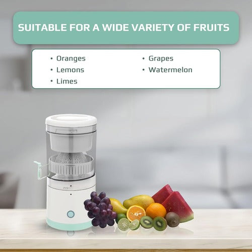 Electric Fruit Juicer